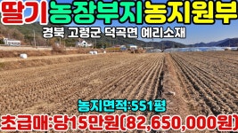 NO:1-487번#고령군땅.고령땅.고령군부동산.고령부동산.고령군공인중개사.경북고령군덕곡면예리딸기농장용지매매 - kakaoTV NO:1-487번... 