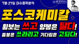 포스코케미칼 (003670) - 횡보는 쓰고 양봉은 달다! 음봉은 쓰라리고 기다림은 고되다! - kakaoTV 포스코케미칼 (003670) - 횡보는 쓰고 양봉은... 