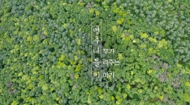 영주 나들이(나무가 들려주는 이야기) - kakaoTV 영주 나들이(나무가 들려주는 이야기)