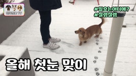 올해 첫눈을 맞이하는 일호와 삼호ㅣ설레는 하루의 시작 - kakaoTV 올해 첫눈을 맞이하는 일호와 삼호ㅣ설레는 하루의 시작