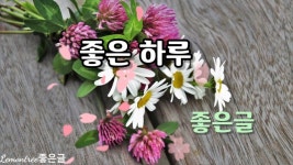 좋은 하루/좋은글 - kakaoTV 좋은 하루/좋은글