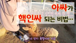 신혼부부 주말데이트 브이로그!! 양평 양떼목장과 구둔역 데이트 - kakaoTV 신혼부부 주말데이트 브이로그!! 양평 양떼목장과 구둔역 데이트