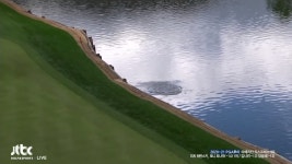 3R 13번홀 치명적인 티 샷 미스 더블 보기 기록하는 토니 피나우 - kakaoTV 3R 13번홀 치명적인 티 샷 미스 더블 보기 기록하는 토니 피나우