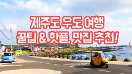 제주도 여행 섬 안의 섬 우도 여행 꿀팁 & 핫플, 맛집 추천 - kakaoTV 제주도 여행 섬 안의 섬 우도 여행 꿀팁 & 핫플, 맛집 추천