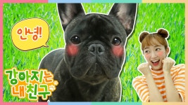 [강아지는 내 친구] 순탄 앉아, 기다려 (1) - kakaoTV [강아지는 내 친구] 순탄 앉아, 기다려 (1)