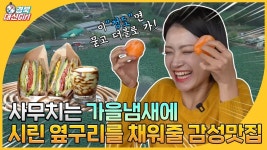 경북대신GIRL l 가을나만 타?..쓸쓸한 옆구리 채워줄 청도의 감성 핫플투어! - kakaoTV 경북대신GIRL l 가을나만 타?..쓸쓸한 옆구리 채워줄... 