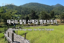 태국 인생의 힐링 산책길! 인생샷 명소 뱀부브릿지!! (Bamboo Bridge) - by 이상주의악마 - kakaoTV 태국 인생의 힐링 산책길! 인생샷... 