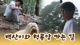 백산이와 함께 멀고 먼 청룡암 가는 길 [윤형빈의 팔도견문록] 9회 - kakaoTV 백산이와 함께 멀고 먼 청룡암 가는 길 [윤형빈의 팔도견문록] 9회