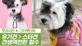 ‘犬생역전’ 유기견에서 인싸견으로 변신한 철수 [펫과사전] 1회 - kakaoTV ‘犬생역전’ 유기견에서 인싸견으로 변신한 철수 [펫과사전] 1회