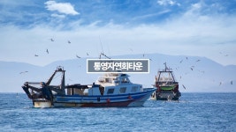 [우리동네지역정보] 통영자연회타운 통영회센터 자연산회 - kakaoTV [우리동네지역정보] 통영자연회타운 통영회센터 자연산회
