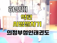 의정부 청춘태권도장, 성인 여성의 시범 발차기~ 역턴! 성인전문도장(직장인/다이어트/주말) - kakaoTV 의정부 청춘태권도장... 