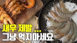새우의 모든것! 보관, 손질, 쉽게까는법, 소금구이, 찌는법 알고 먹자! - kakaoTV 새우의 모든것!  보관, 손질, 쉽게까는법, 소금구이, 찌는법... 