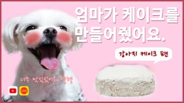 강아지 케이크 만드는 방법 │노오븐 레시피 - kakaoTV 강아지 케이크 만드는 방법 │노오븐 레시피