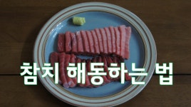 참치해동하는 법 - kakaoTV 참치해동하는 법