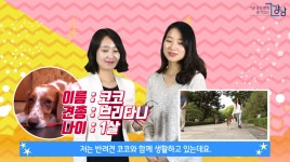 제1회 나도 강남스타 유튜버 [7탄] 반려견 코코편 - kakaoTV 제1회 나도 강남스타 유튜버 [7탄] 반려견 코코편