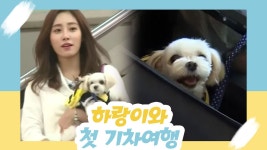 최희, 하랑이와의 첫 기차 여행 [오 마이 펫 시즌2] 11회 - kakaoTV 최희, 하랑이와의 첫 기차 여행 [오 마이 펫 시즌2] 11회