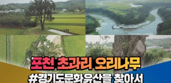 경기도 문화유산을 찾아서ㅣ#포천ㅣ#천연기념물ㅣ#초과리 오리나무 - kakaoTV 경기도 문화유산을 찾아서ㅣ#포천ㅣ#천연기념물ㅣ#초과리 오리나무