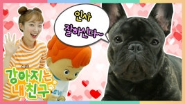 [강아지는 내 친구] 인사하기, 순탄 (2) - kakaoTV [강아지는 내 친구] 인사하기, 순탄 (2)