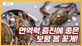 면역력 증진에 좋은 보령 봄 꽃게 - kakaoTV 면역력 증진에 좋은 보령 봄 꽃게 