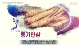 2020 온라인 경북영주 풍기인삼축제 홍보 스팟 - kakaoTV 2020 온라인 경북영주 풍기인삼축제 홍보 스팟