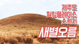 제주도 새별오름 힐링 스케치 - kakaoTV 제주도 새별오름 힐링 스케치
