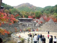 동기 삼성궁 노고단 나들이 영상-0320 2008-10-25 - kakaoTV 동기 삼성궁 노고단 나들이 영상-0320   2008-10-25