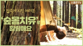 머리가 맑아지는 숲속힐링, 편안한 해먹에서 휴식하는 머체왓숲몸치유 - kakaoTV 머리가 맑아지는 숲속힐링, 편안한 해먹에서 휴식하는... 