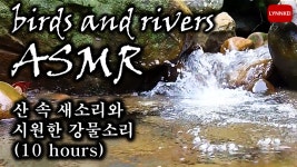 산 속 새소리와 시원한 강물소리 ASMR 10시간 - kakaoTV 산 속 새소리와 시원한 강물소리 ASMR 10시간