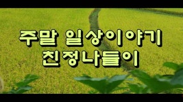 주말 일상이야기, 친정 나들이 - kakaoTV 주말 일상이야기, 친정 나들이