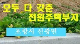 경북 포항부동산 포항시 신광면 전원주택부지 매매 - kakaoTV 경북 포항부동산 포항시 신광면 전원주택부지 매매