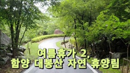 여름휴가, 함양 대봉산 자연 휴앙림 - kakaoTV 여름휴가, 함양 대봉산 자연 휴앙림