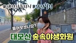 2021_32 대신 가 ‘두리’입니다. 대모산 숲속 야생화원! - kakaoTV 2021_32 대신 가 ‘두리’입니다. 대모산 숲속 야생화원!