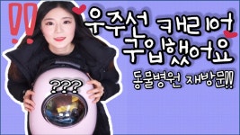 고양이 이동장 추천/우주선 가방 우주선 캐리어 후기/고양이 염증/동물병원 재방문 - kakaoTV 고양이 이동장 추천/우주선 가방 우주선 캐리어... 