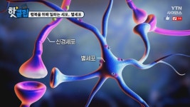 행복을 위해 일하는 세포, 별세포 - kakaoTV 행복을 위해 일하는 세포, 별세포