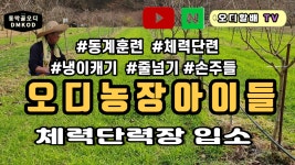 손주녀석들 오디농장 동계훈련입소 - kakaoTV 손주녀석들 오디농장 동계훈련입소