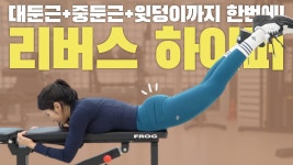 리버스 하이퍼 중둔근/대둔근 - kakaoTV 윗쪽 엉덩이 채워주는 최고의 운동! 리버스 하이퍼 중둔근/대둔근