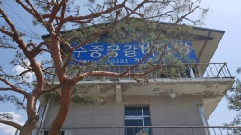 풍천종친회 포천수중궁갈비 / 봄날은 간다 - kakaoTV 풍천종친회 포천수중궁갈비 / 봄날은 간다