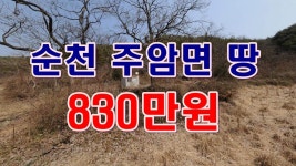 [부동산 경매물건] 전남 순천 주암면 운룡리 땅!! 농막 텃밭 추천 물건!! - kakaoTV [부동산 경매물건] 전남 순천 주암면 운룡리 땅!! 농막 텃밭... 