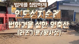 [불교,인도성지순례]법화경을 설한 영축산(왕사성/라즈기르)/법계를 청량하게 - kakaoTV [불교,인도성지순례]법화경을 설한 영축산(왕사성... 