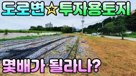 (★급매추천★)[#양평투자용토지]2차선도롤변에 위치한 투자용상가부지급매(양평엔NO.24540) - kakaoTV (★급매추천★)[#양평투자용토지]... 