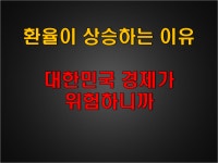 환율이 상승하는 이유 - 대한민국 경제가 위험하니까 - kakaoTV 환율이 상승하는 이유 - 대한민국 경제가 위험하니까