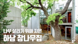 [철근콘크리트 ALC주택] 나무 살리기 위해 지은 하남 참나무집 - kakaoTV [철근콘크리트 ALC주택] 나무 살리기 위해 지은 하남 참나무집