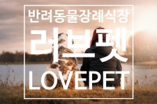 강아지장례 강아지화장 반려동물장례식장 러브펫 - kakaoTV 강아지장례 강아지화장 반려동물장례식장 러브펫