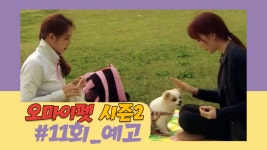[11회 예고] 오 마이펫 시즌2, 6월 11일 (목) 밤 11시 - kakaoTV [11회 예고] 오 마이펫 시즌2, 6월 11일 (목) 밤 11시