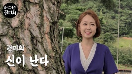 [MV] 신이난다 - 권미희(신곡) - kakaoTV [MV] 신이난다 - 권미희(신곡)
