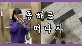 동해로 가즈아! 완전 맛있는 대게 먹고! 폭풍우를 뚫어보자! 촛대바위/동해맛집/스카이워크 // 슬기로운삶 - kakaoTV 동해로 가즈아! 완전 맛있는... 