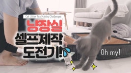 고양이 화장실 셀프 제작🛠에 실패한 이유 - kakaoTV 고양이 화장실 셀프 제작🛠에 실패한 이유