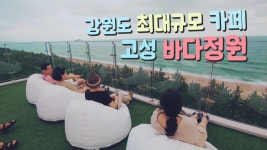 속초핫한카페 바다정원 - kakaoTV 속초핫한카페 바다정원 