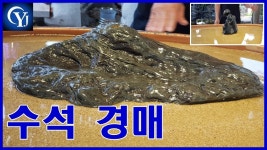Ep.35수석경매장 최고의수석 명품수석 - kakaoTV 수석경매 교장선생님 다시 수석 들고 경매장에 오신 이유??? Ep.35수석경매장 최고의수석... 
