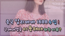 중국 알리바바 1688 구매 수입 구매대행을 이용해야 하는 이유는 - kakaoTV ﻿중국 알리바바 1688 구매 수입 구매대행을 이용해야 하는 이유는